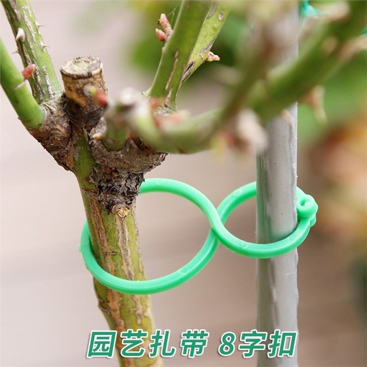 Gardening 8-shaped Buckle Cable Tie For Plants